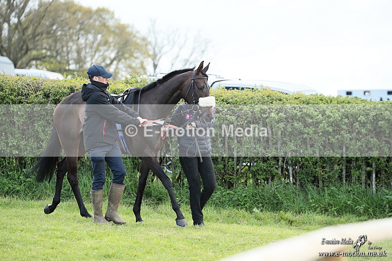 PtP 180426 981 - Worcestershire Hunt PtP Chaddesley Corbett 18/04/26