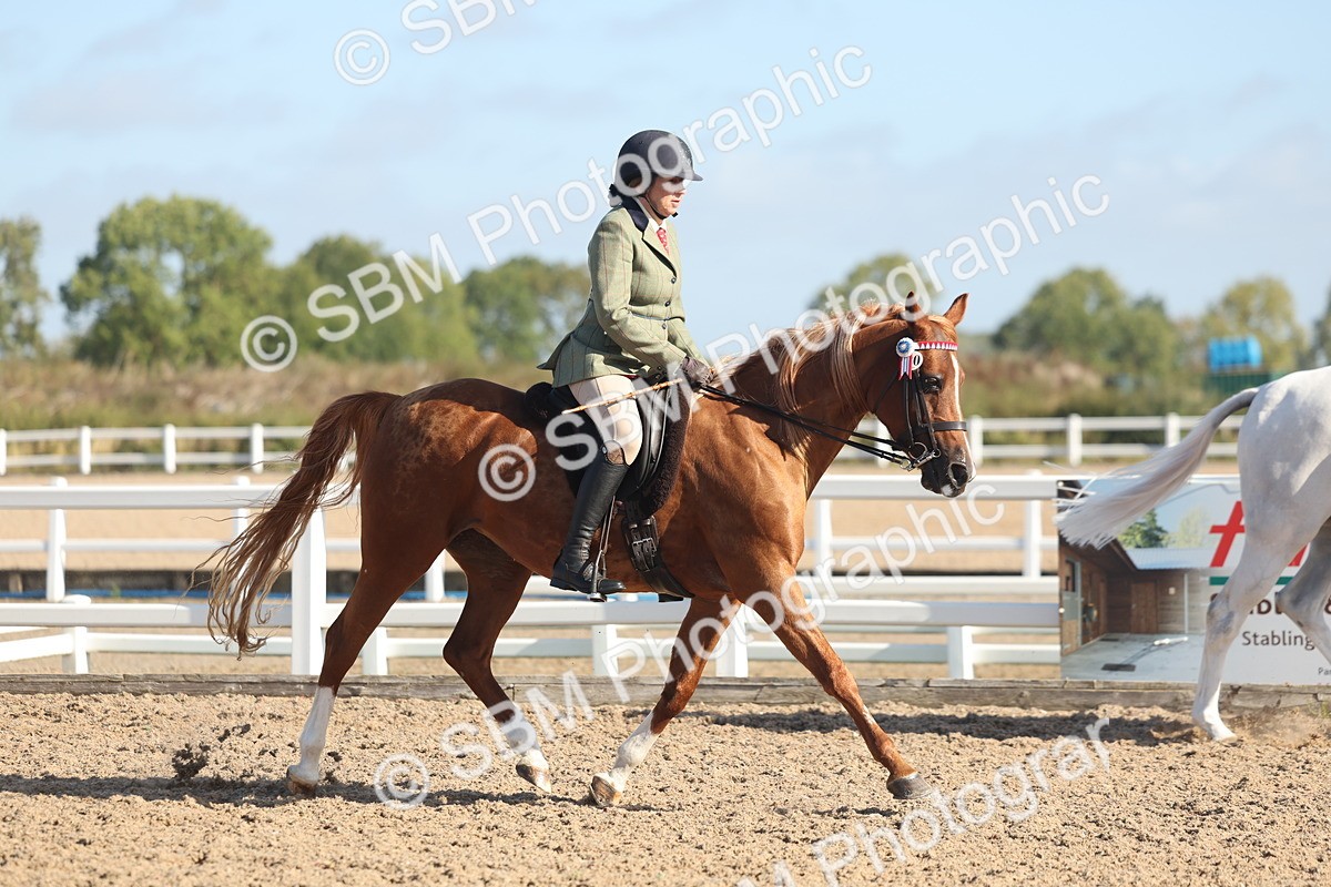 SBM_22296 - Class 803 - Ridden Combination 65+