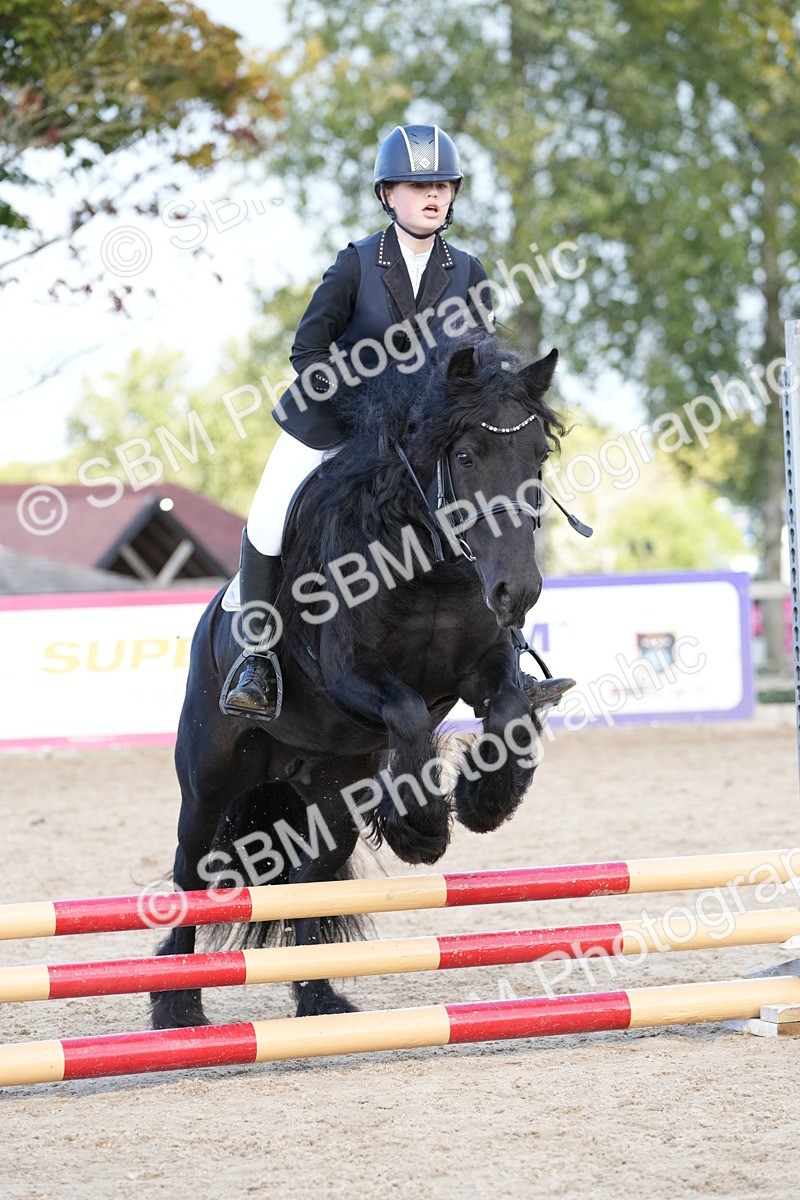 SBM_17904 - J58 - Clear Round 50cm