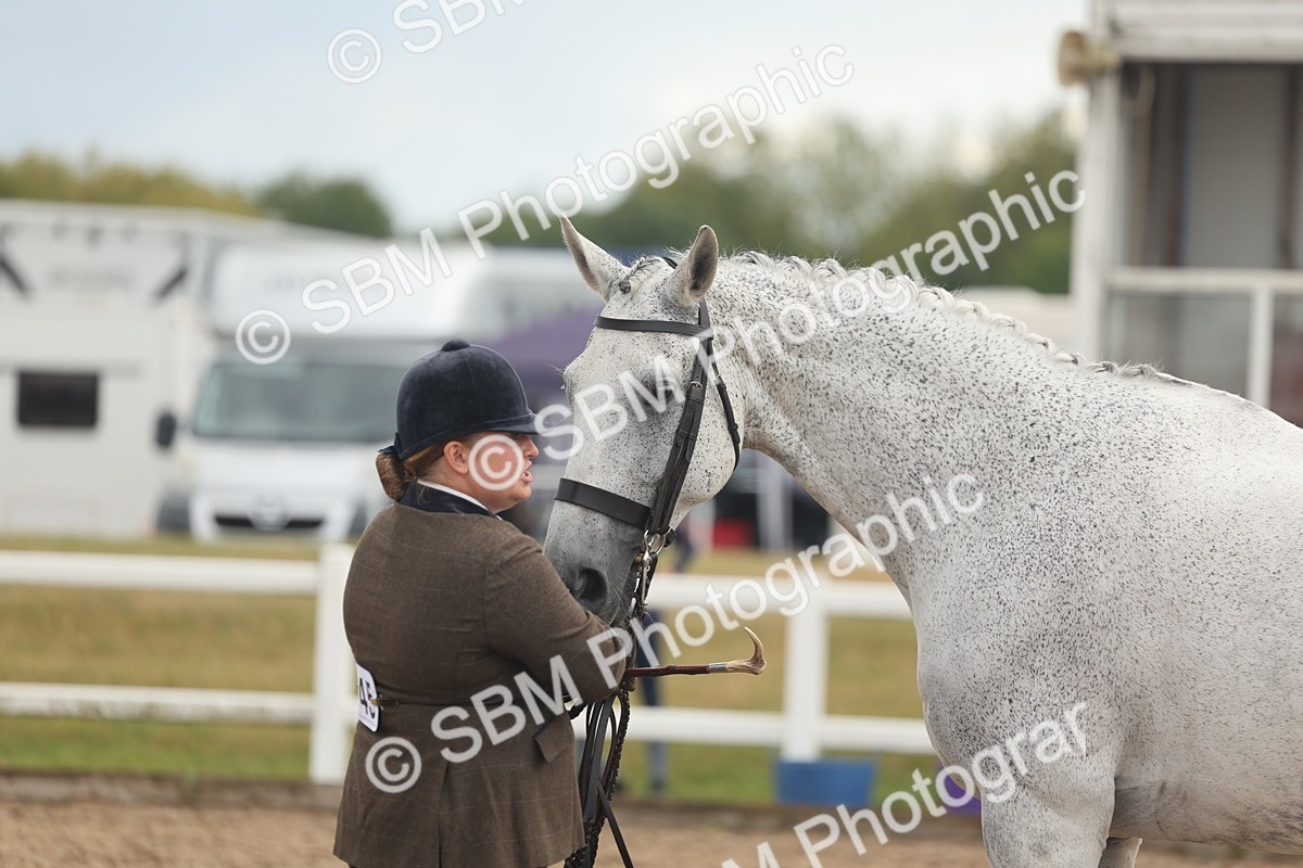 SBM_07925 - Class 28 - IH Veteran Horse