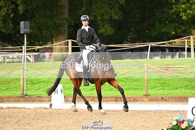 231021-091444-12808 - 324-HAZZLE.DAZZLE-Henry.Hobby-DR