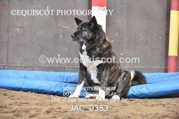 JAC_0353 - CLASS 7 Small Open Show Jumping - (0.80m)