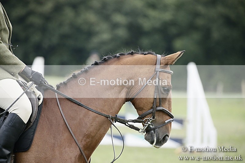 BVR090918 420 - BVRC Dressage and Show Jumping 09/09/18