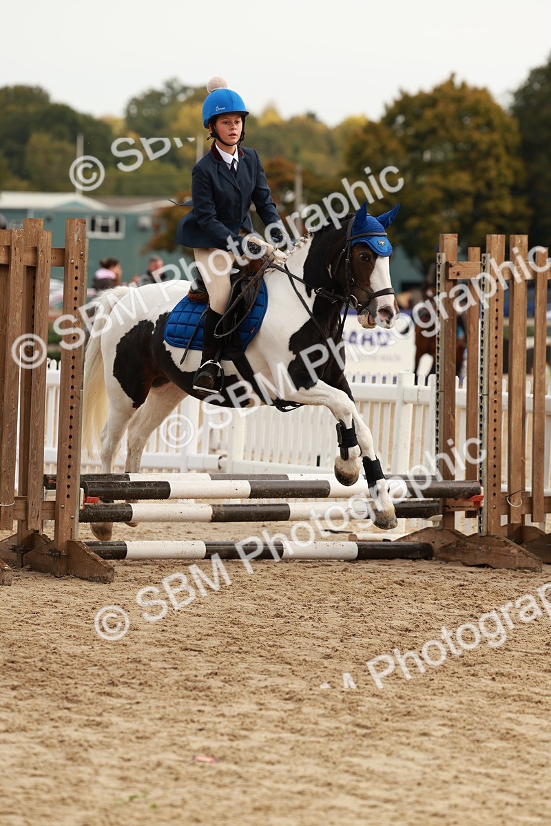 SBM_57694 - J11 - Junior Pony 50cm Championship