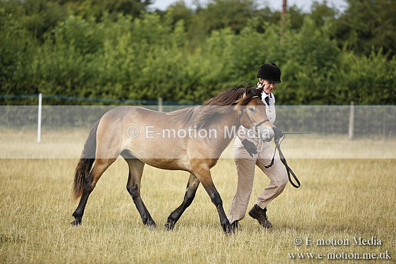 _C7A9203 - BVRC Sow 2018 Ring 2