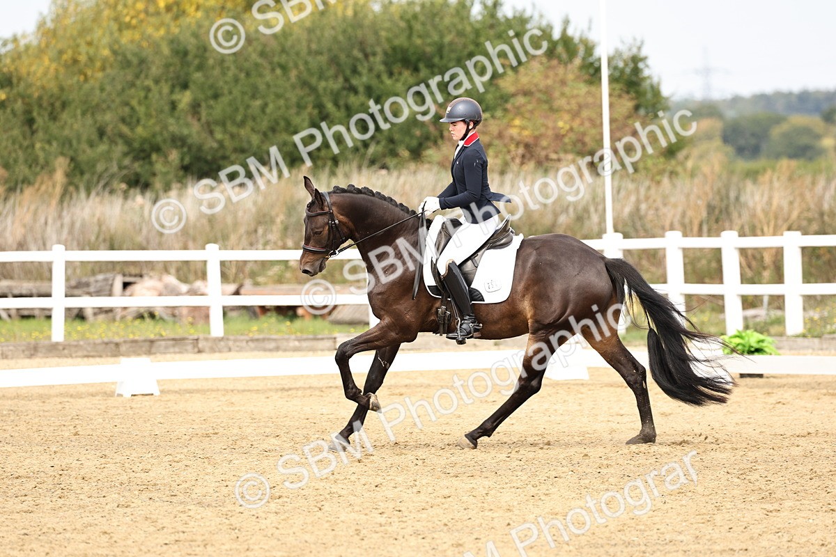 SBM_012409 - Class 2 - Prelim 5