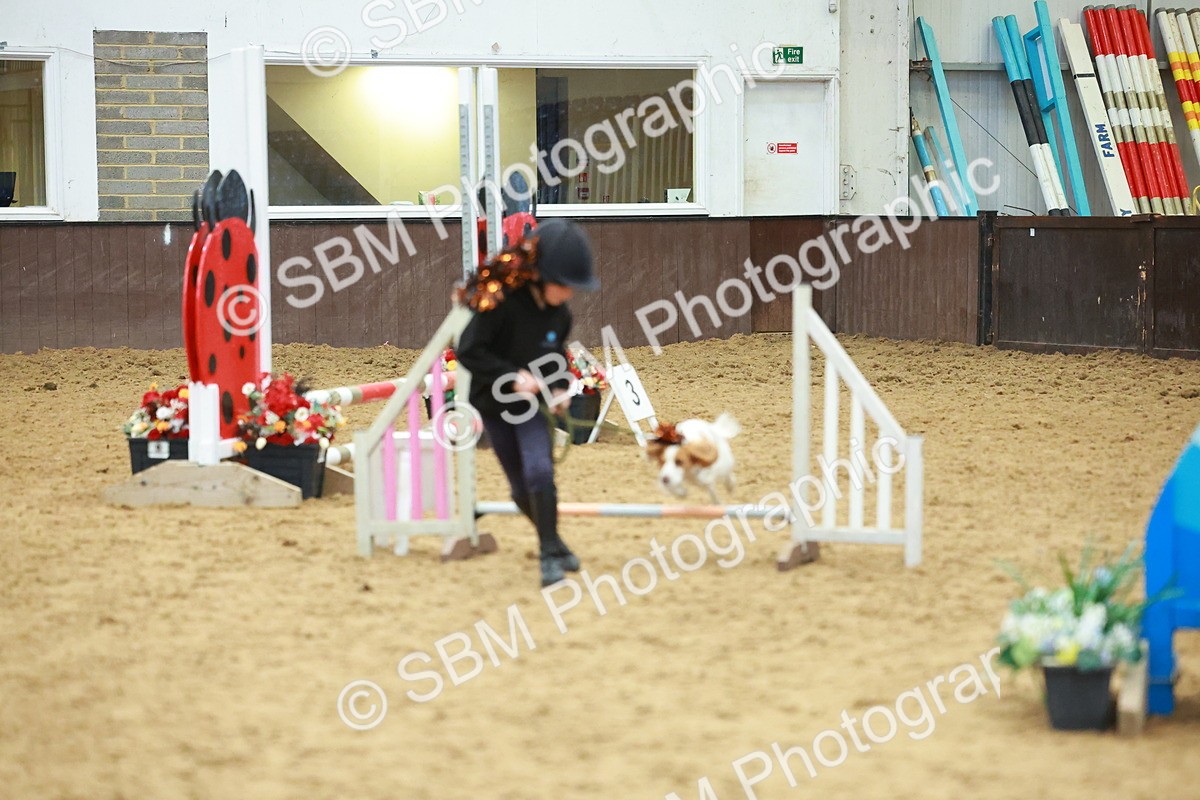 SBM_002525 - Class 3 - Horse & Hound (60cm)