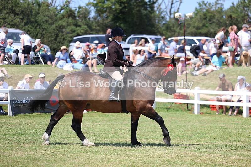 3E7A9507 - Open Ridden Championship