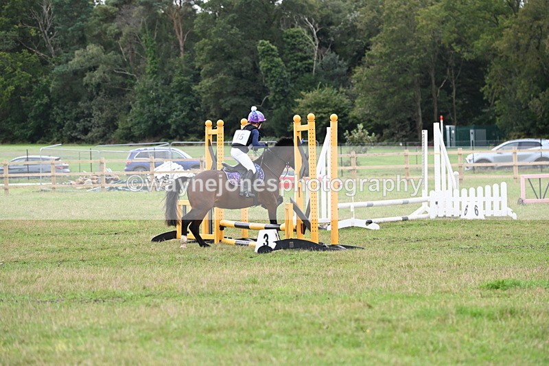 WJ6_0213 - 40cm Time 10:00 to 10:28