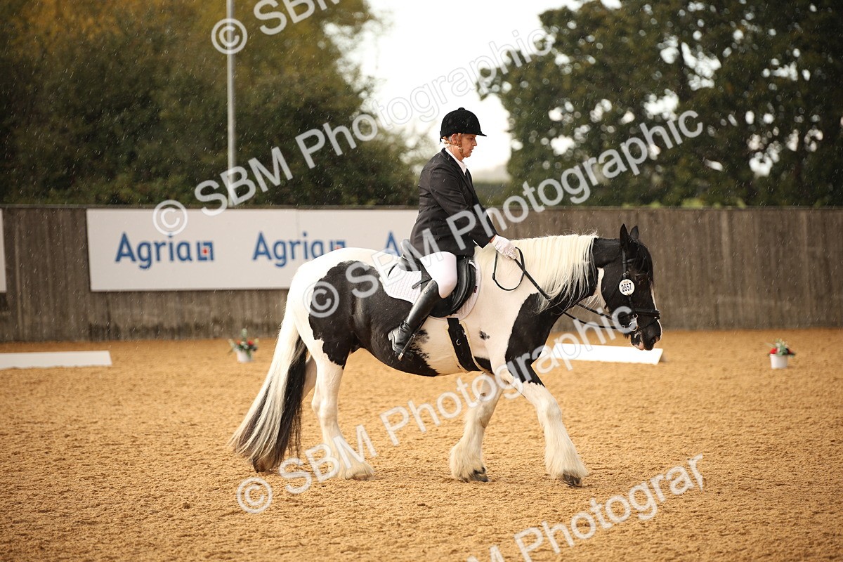 SBM_12390 - D3 Small  Tour Championship Intro A