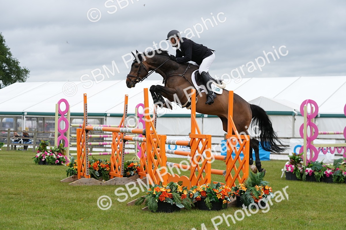 SBM_03406 - Class 201 - British Horse Feeds Speedi Beet Horse of the Year Show Grade  C