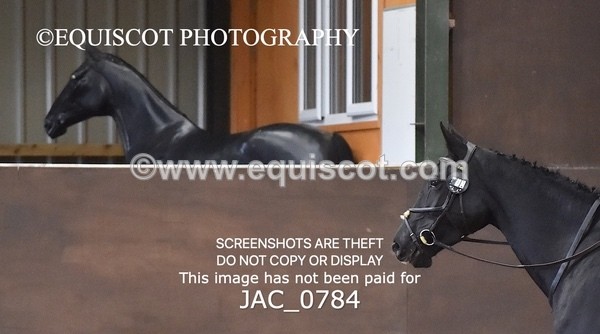 JAC_0784 - CLASS 2 PRELIM 2