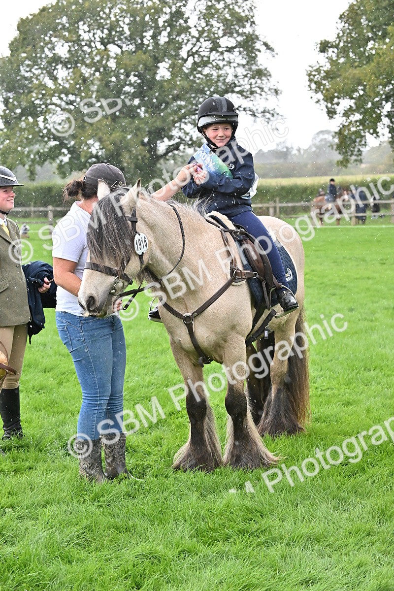 SBM_43010 - S12 - Family Horse & Pony