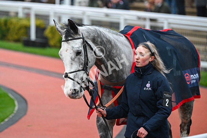 131224-Race 2-Caldwell Potter-8659 - Race 2