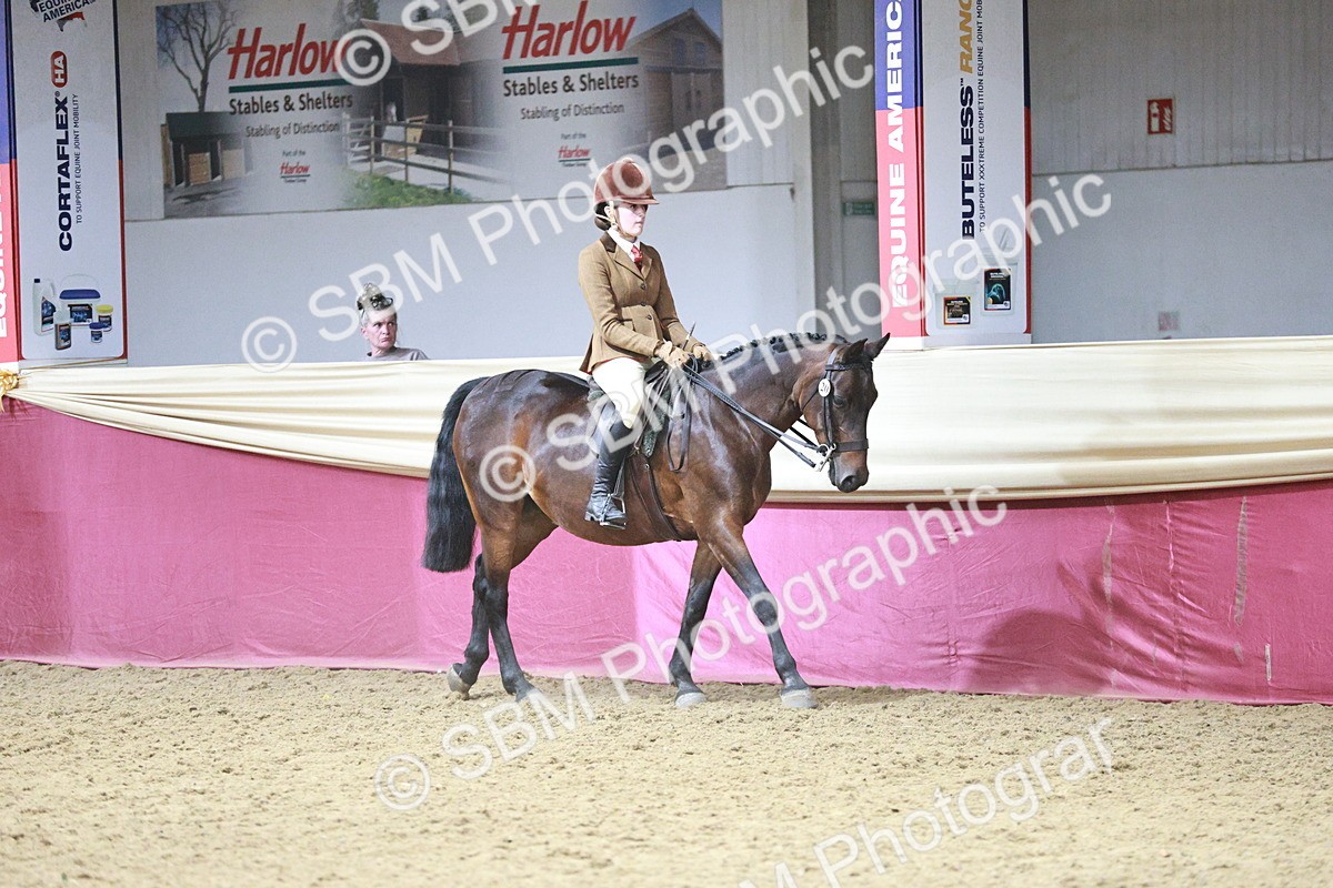 SBM_07987 - Class 11R - Regional Ridden Veteran
