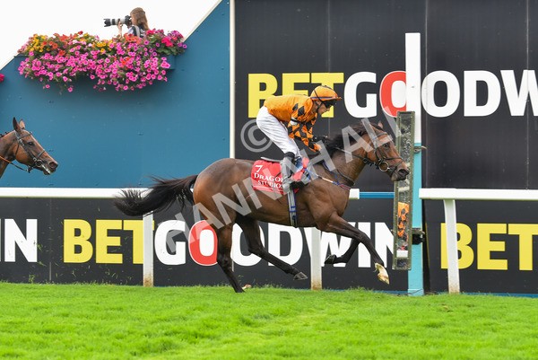 100923-Pony Race 2-1715 - Pony Race 2 12.45 The Dragon (TV and Film) Studios Pony Race 148cm & Under