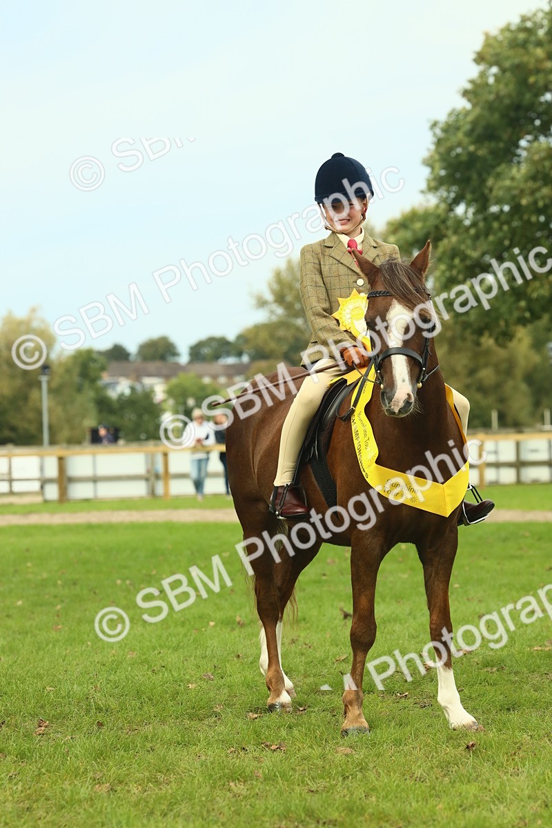 SBM_70025 - S59 - Mountain & Moorland Ridden Small Breeds