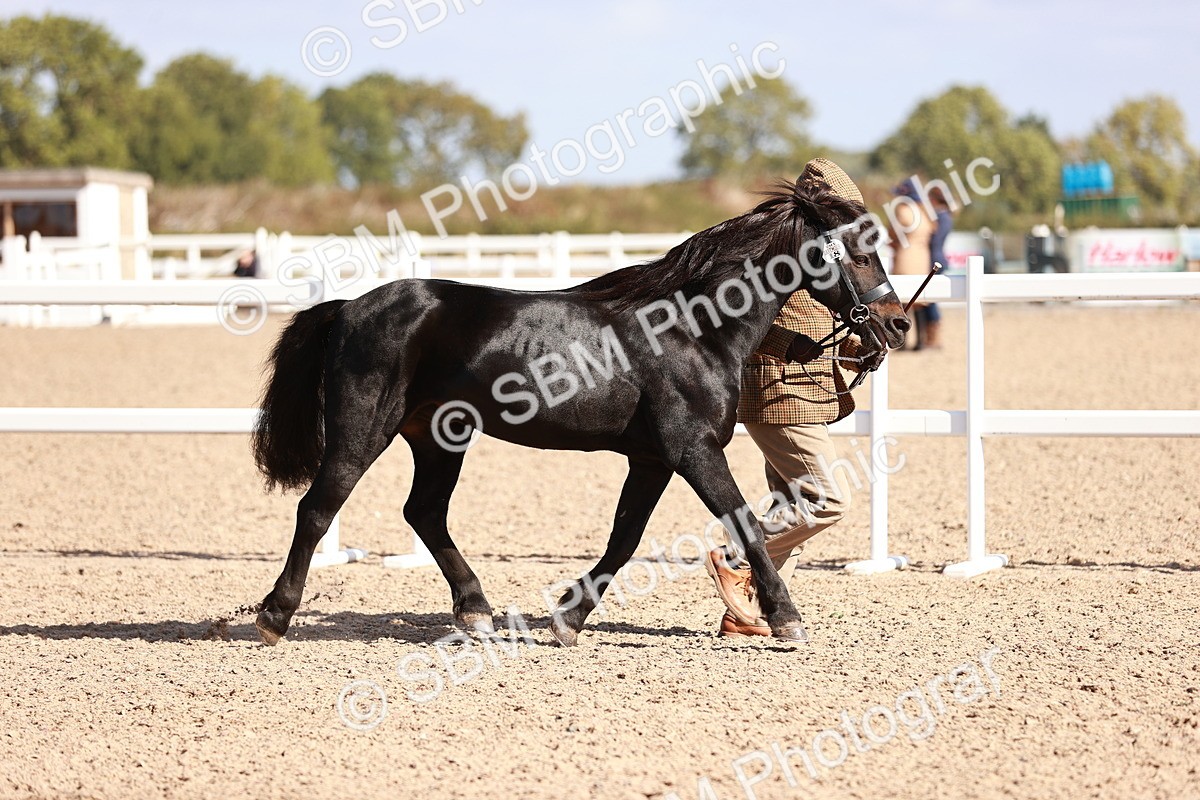 SBM_22781 - Class 705 - IH Combination 65+