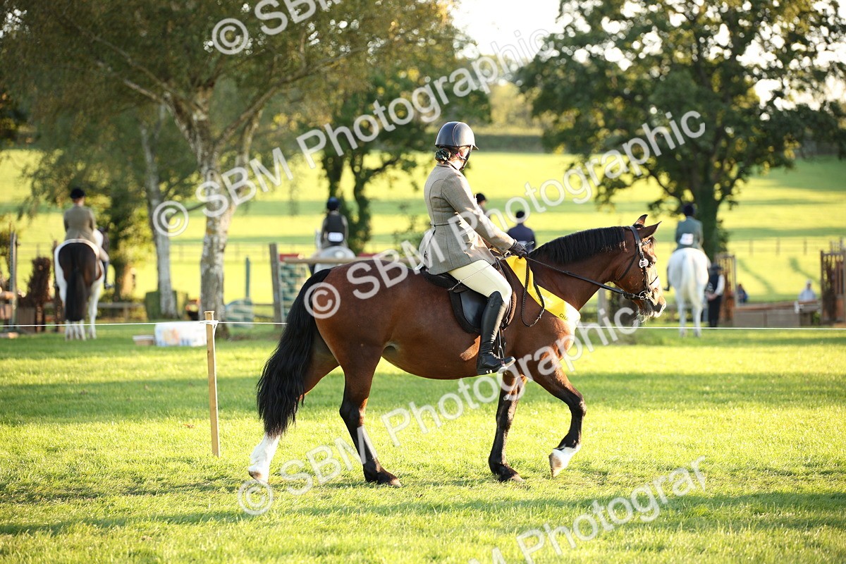 SBM_57045 - Veteran Supreme Championship