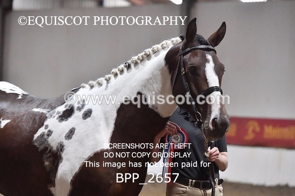 BPP_2657 - LOOSE JUMPING / SPSS