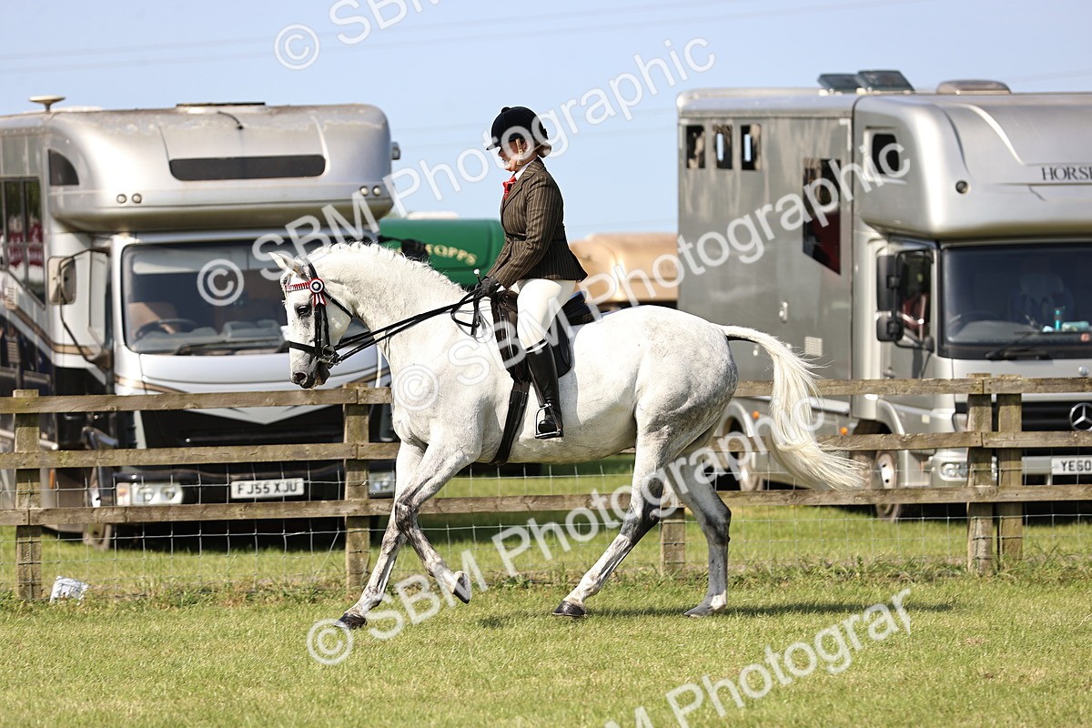 SBM_12907 - Class 75-76 LIHS BSHA Rising Star Hack Riding Horse
