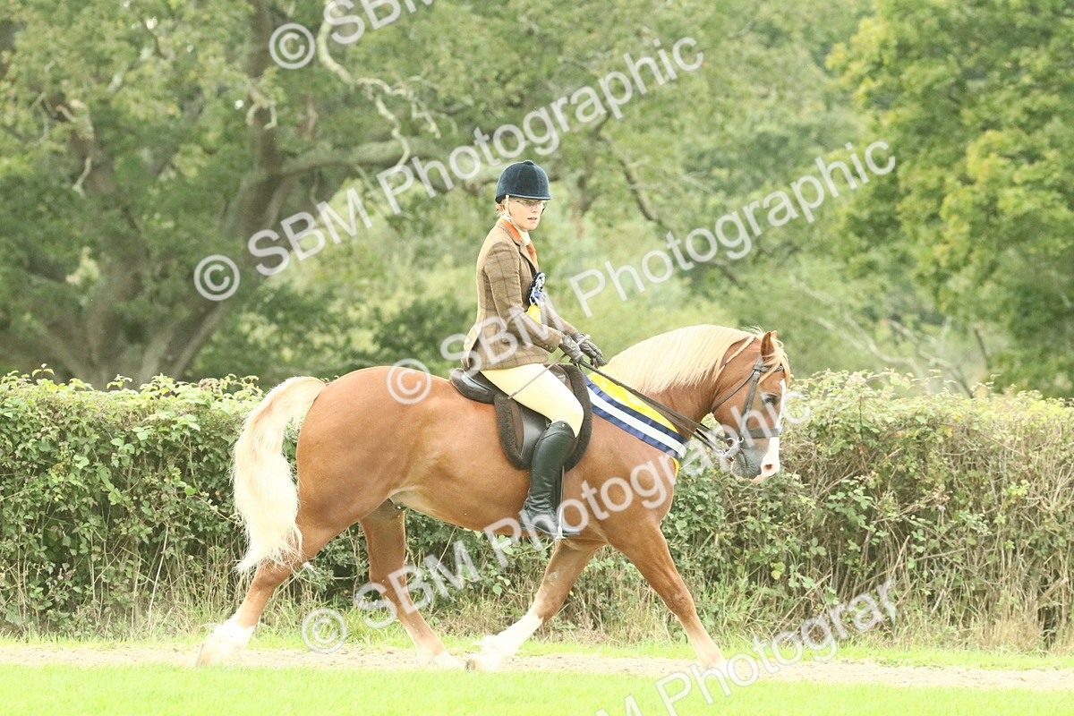 SBM_75151 - Super Supreme Championship