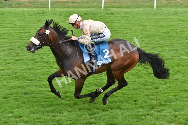 yr23072022r4-28 - Race 4 3.50pm Sky Bet In Running Racing Nursery Handicap