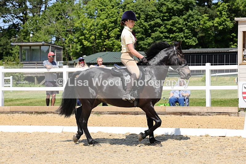 1X9A1698 - Class 11: Ridden Cob