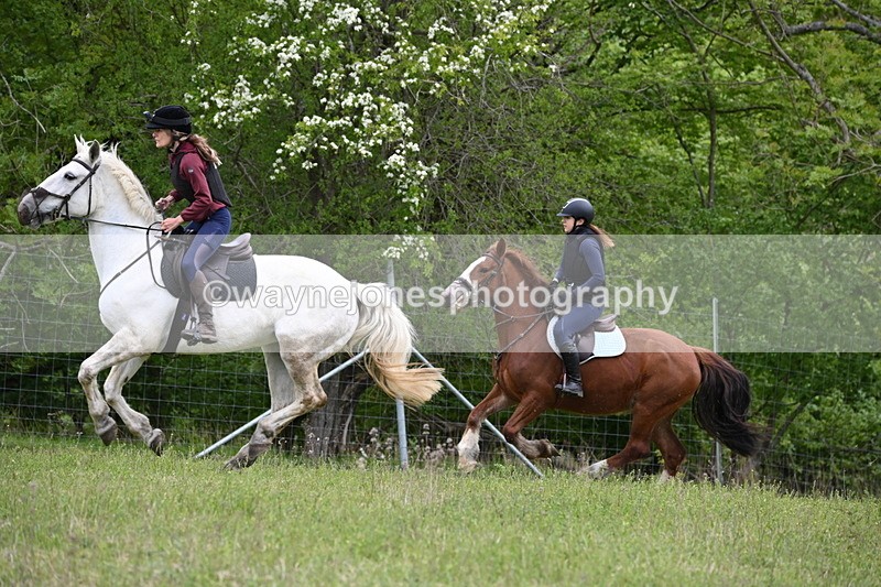 WJ6_1569 - Group 4 A&B Cameras