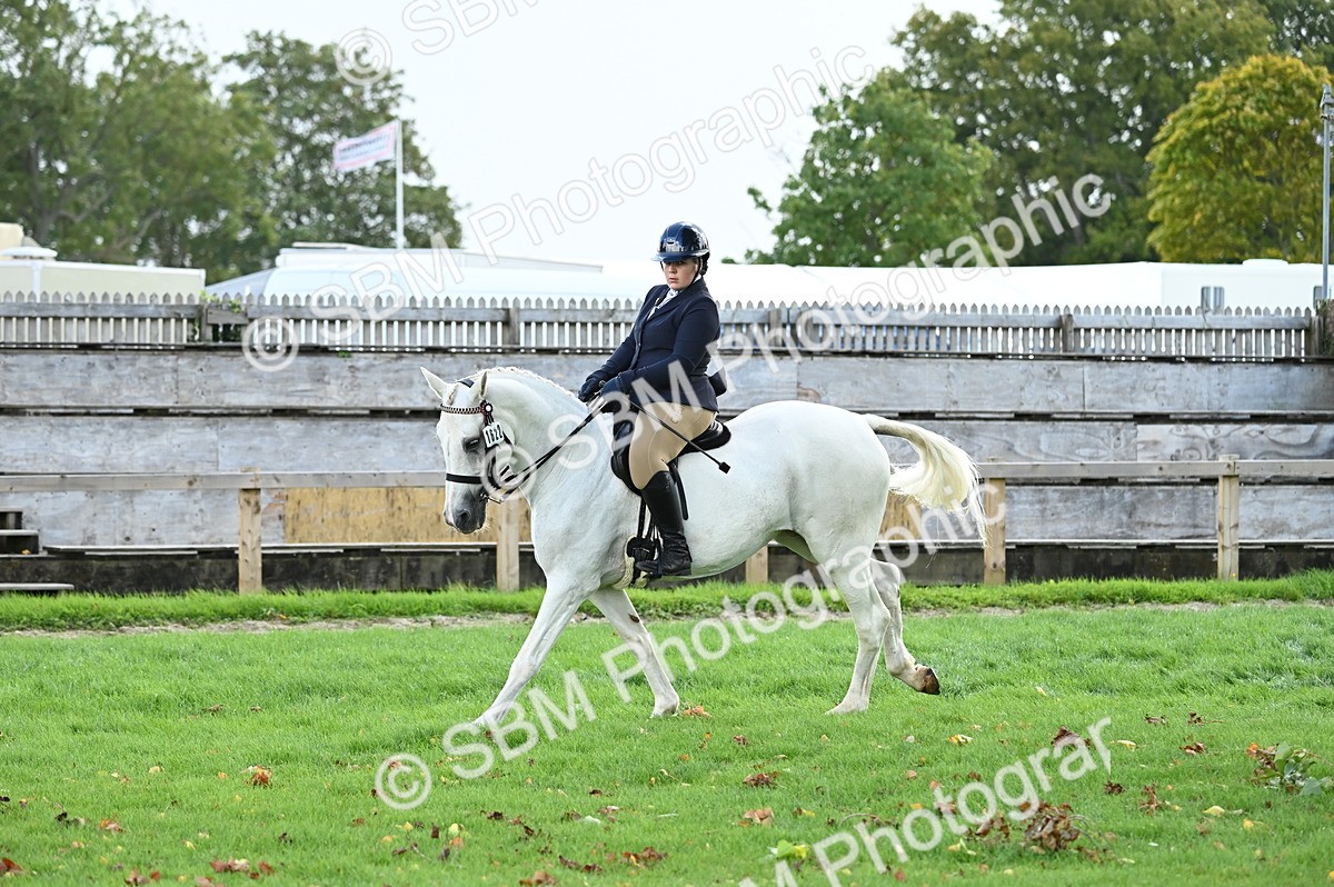 SBM_01690 - S2 - TSR Ridden Horse Showing