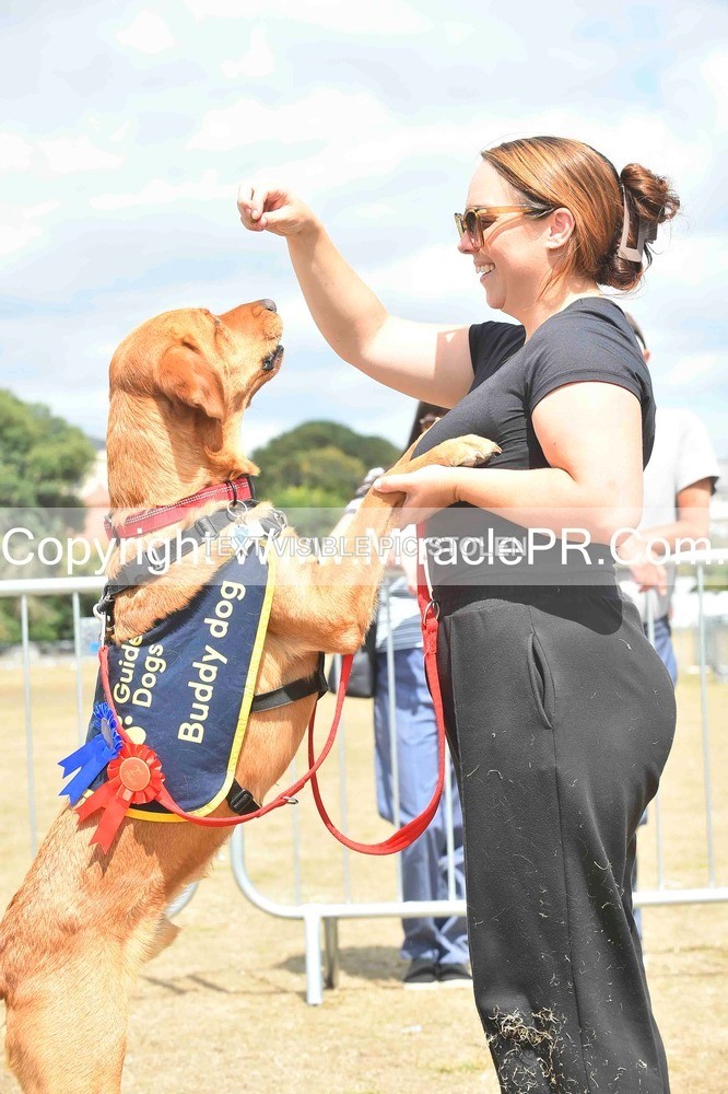 SH4_0261 - Dog show.