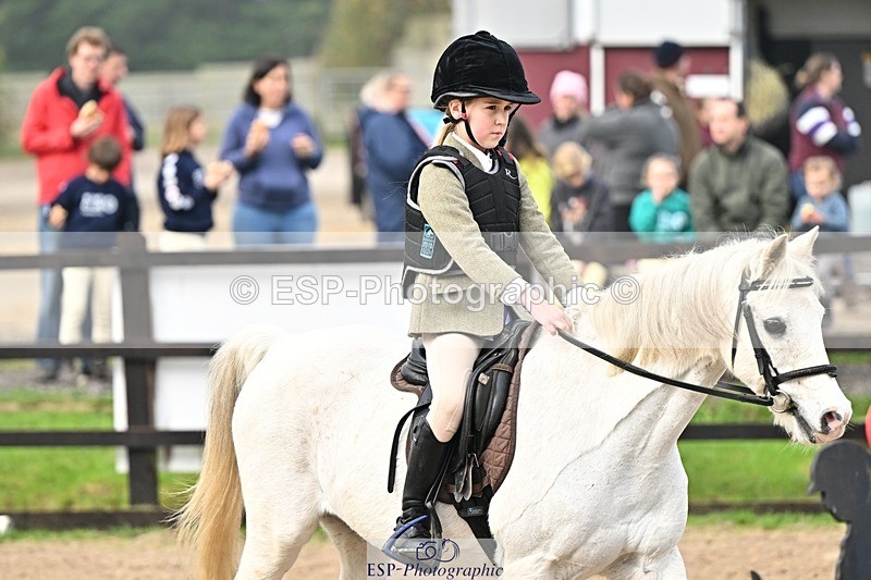 241110-103018-00320 - 40cm Showjumping