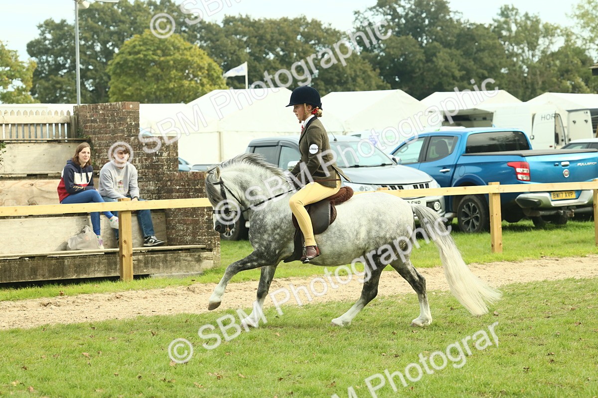 SBM_69870 - S59 - Mountain & Moorland Ridden Small Breeds