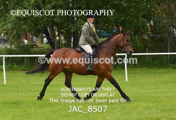 JAC_8507 - CLASS 3 BHS STYLE JUMPING