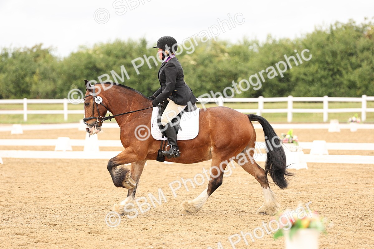 SBM_004623 - Class 6a - Novice 5 - 14.48-16.40