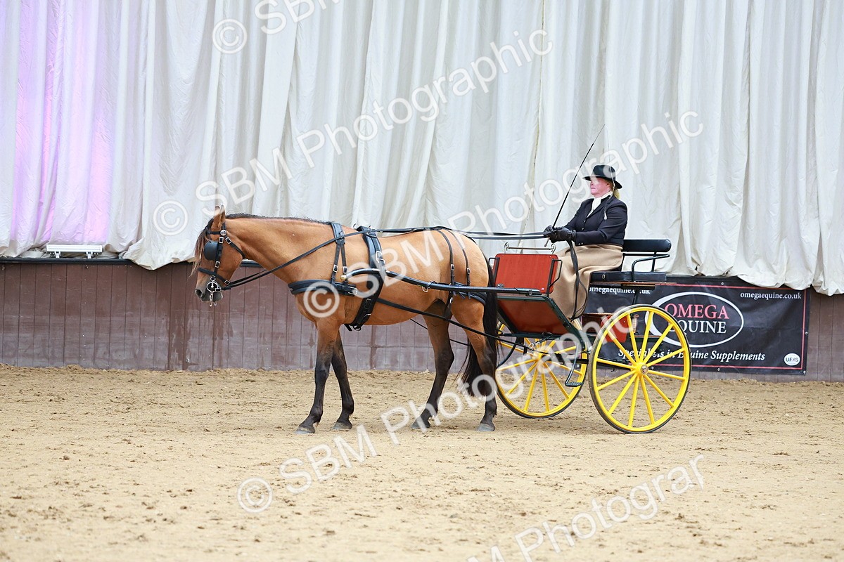 SBM_001066 - Class 15 - Open Showmans Class