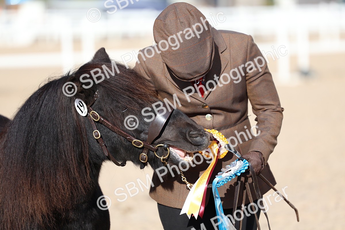 SBM_18785