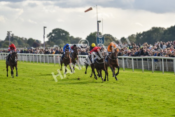141023-Race 4-Colorada Dancer-1171 - Race 4 3.05pm Coral Racing Club EBF Maiden Stakes