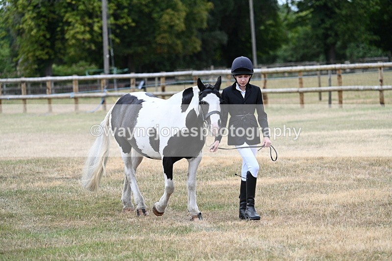 WJ7_1472 - Class 4 Prettiest Mare up to 14.2hh in hand