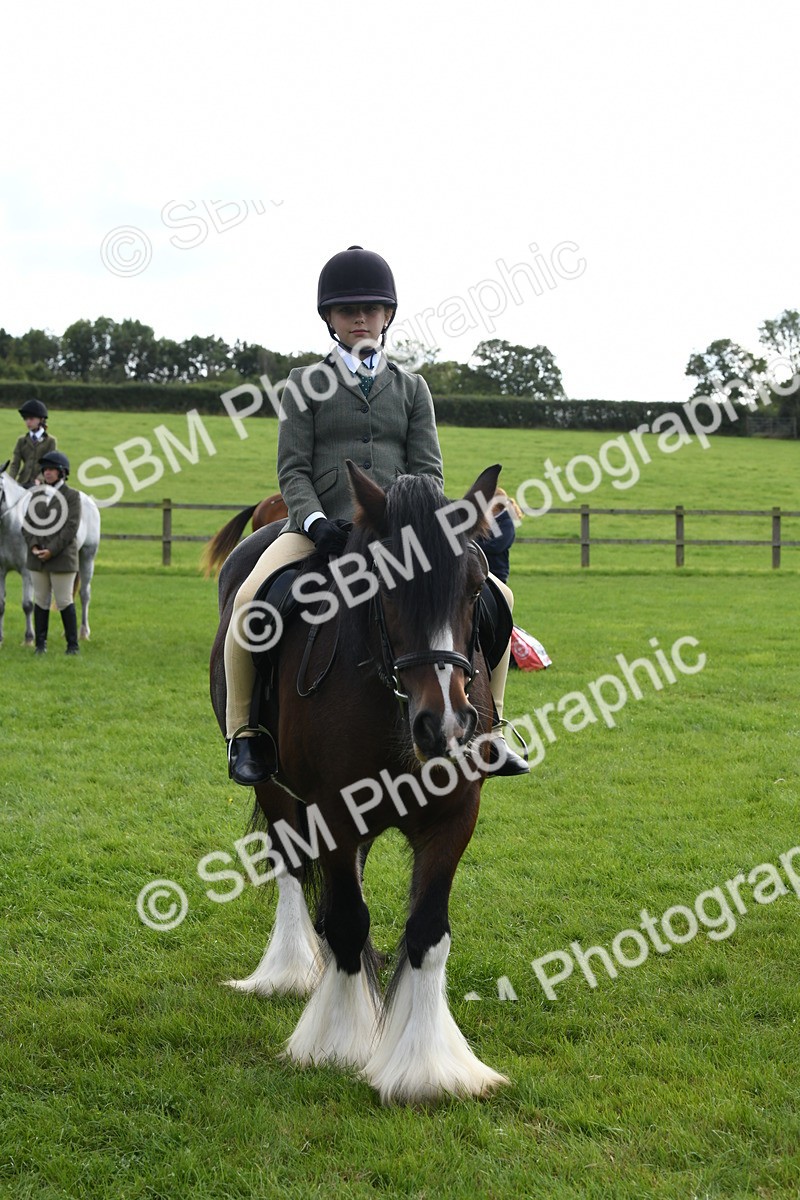 SBM_47229 - S12 - Family Horse & Pony
