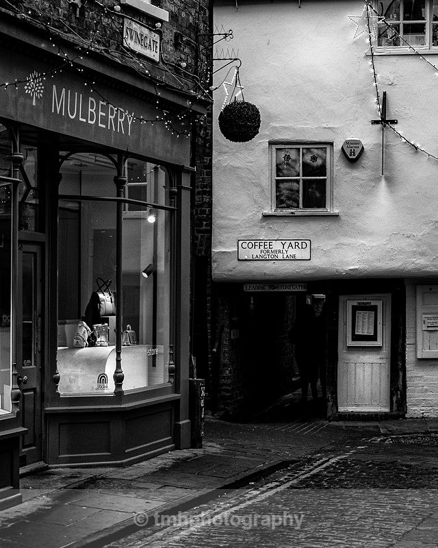 Mulberry - Monochrome Photograph's