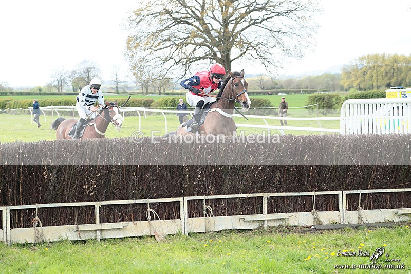 PtP 180426 544 - Worcestershire Hunt PtP Chaddesley Corbett 18/04/26
