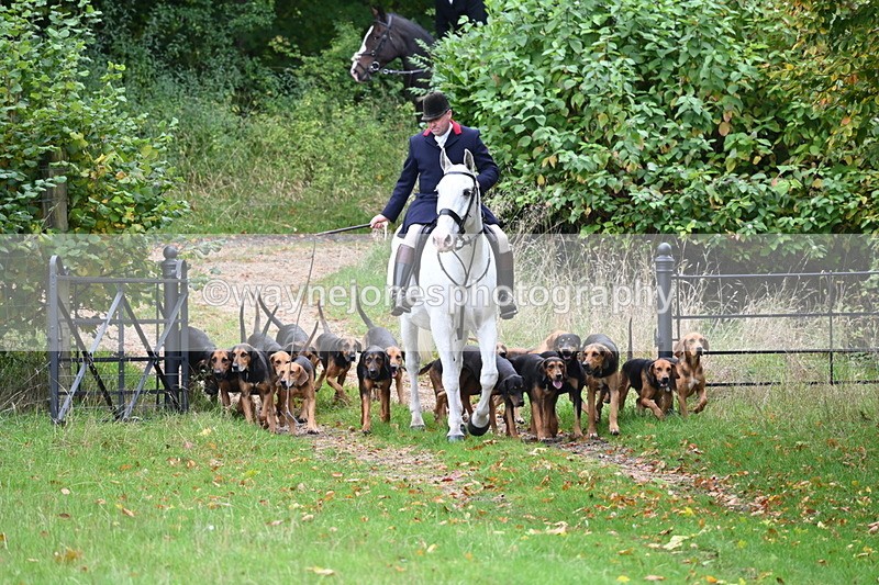 WJ6_0043 - Camera 2 Meet