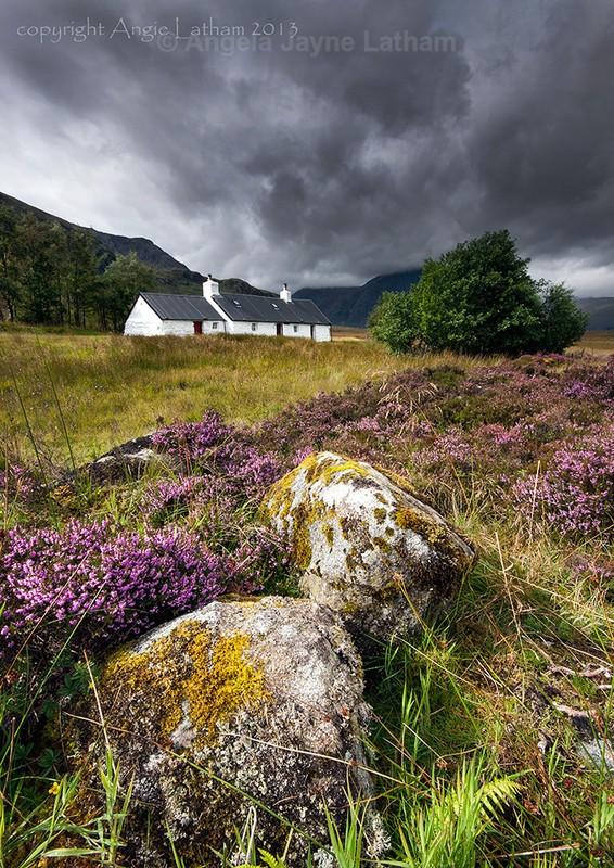 Blackrock & Heather - Highlands of Scotland