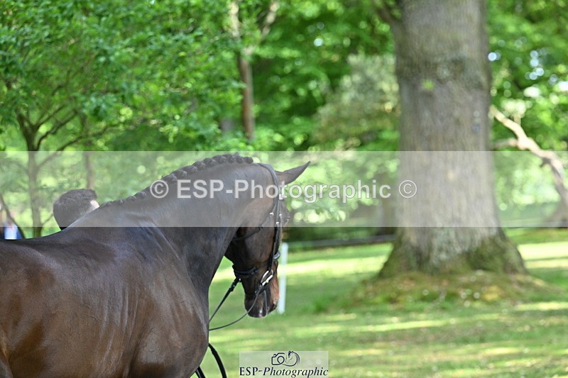 250521A-155038-00796 - B-372-Stephen.Heal-HISCO