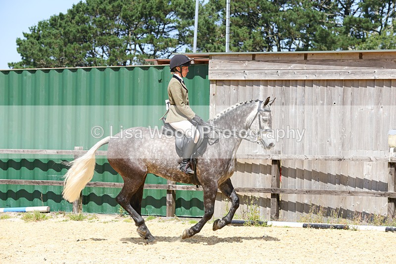 1X9A8798 - Class 19: Riding Club Horse