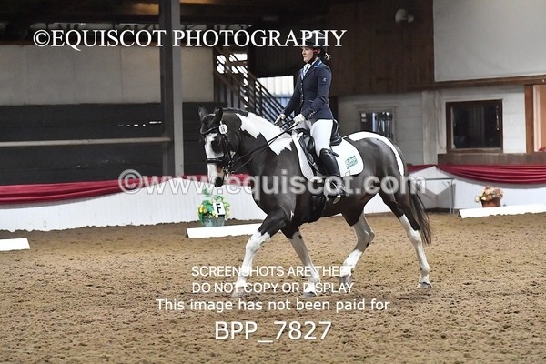 BPP_7827 - ELEM TEST 6