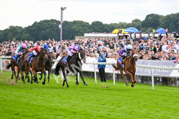 240824-Race 1-See The Fire-0970 - Race 1 1.50pm Sky Bet Strensall Stakes