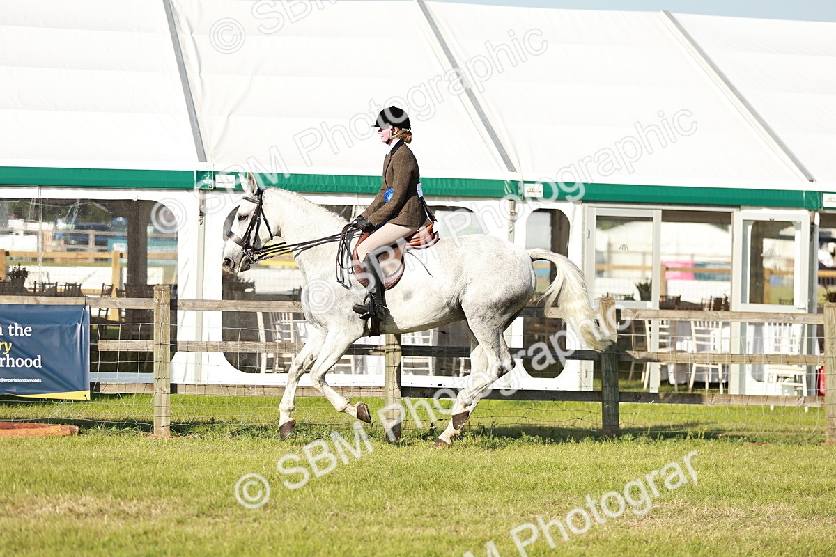 SBM_20109 - Class 115-116 - LIHS BSHA Rising Star Working Hunter & Show Horse