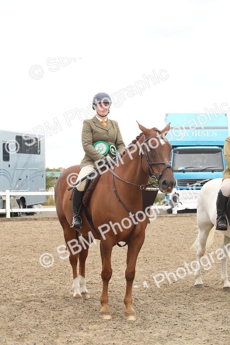 SBM_18320 - Class 509a - Working Veteran - 80cm (15-19)